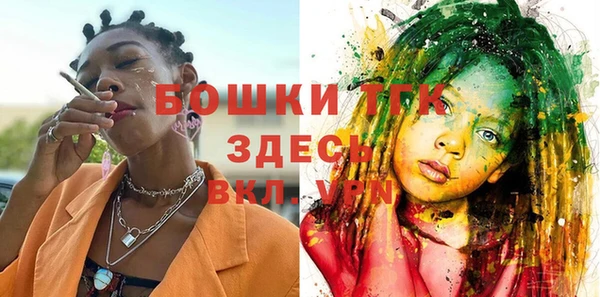 крисы Армянск