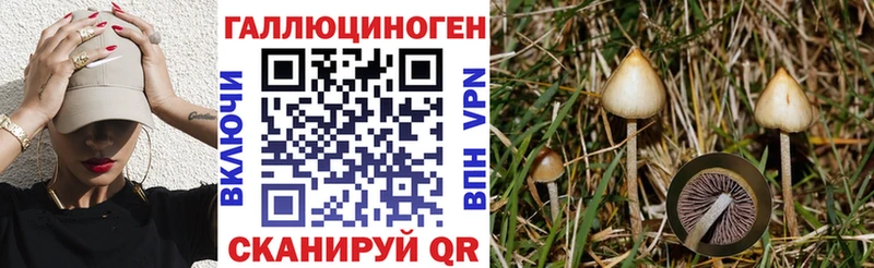 Псилоцибиновые грибы GOLDEN TEACHER  Снежинск 